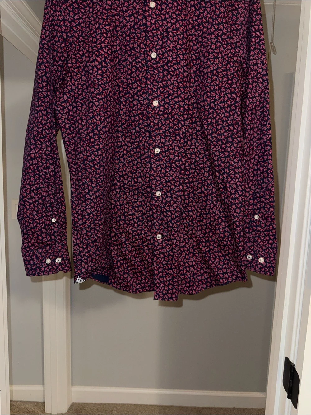 Banana Republic Men's Red and Blue Micro-Print Button-Down Shirt